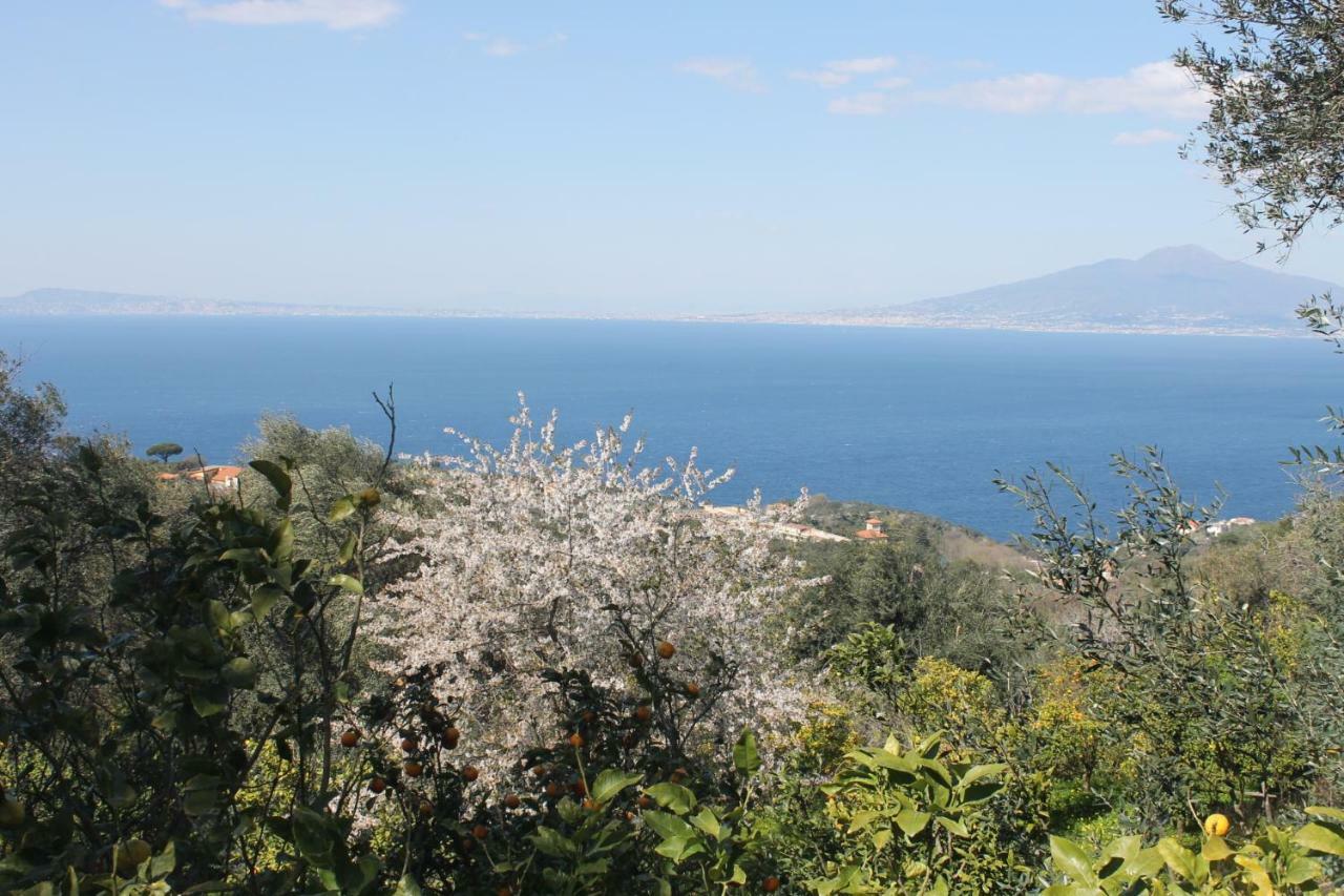 La Torre Relais Sorrento Apartment Exterior photo